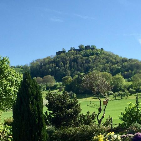 Hegau-Lounge-Bodensee Muhlhausen-Ehingen Екстер'єр фото