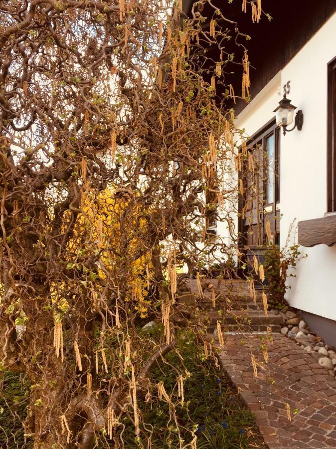 Hegau-Lounge-Bodensee Muhlhausen-Ehingen Екстер'єр фото