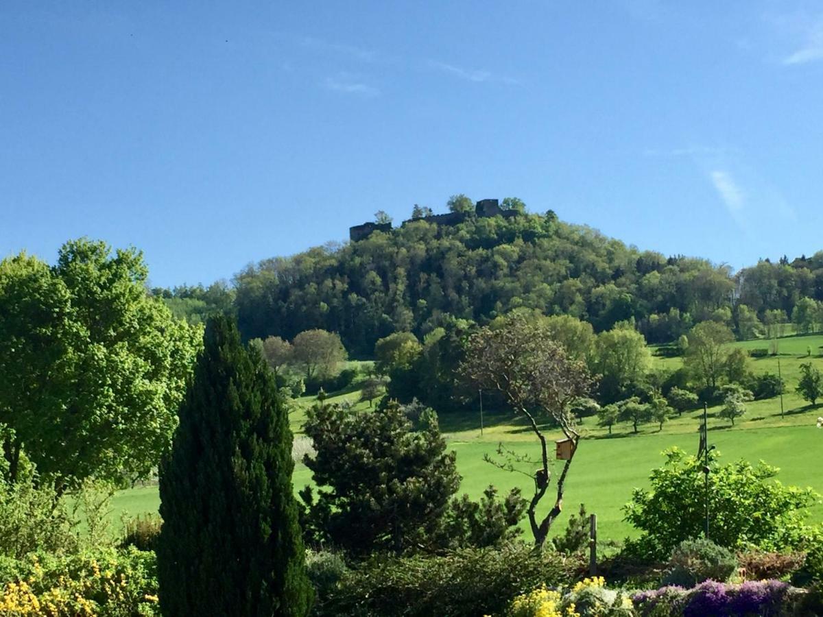 Hegau-Lounge-Bodensee Muhlhausen-Ehingen Екстер'єр фото